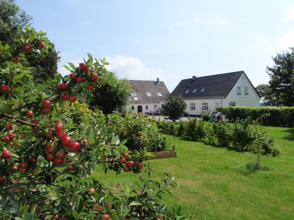 Ruhetgaard Holiday Apartment Ærøskøbing Værelse billede